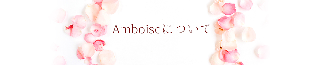 Amboiseについて