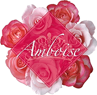 Amboise（アンボワーズ）
